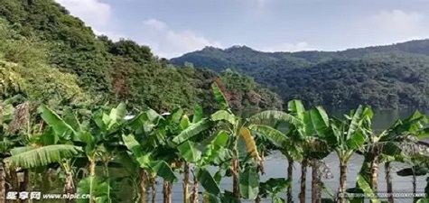 香蕉视频大全 - 自然风光短视频